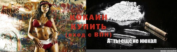 круглые Карпинск