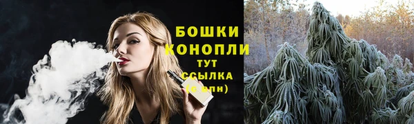 круглые Карпинск